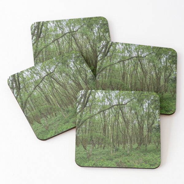 Item preview, British Countryside - Cannock Chase designed and sold by jeremydwilliams.