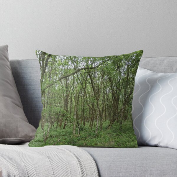 Item preview, British Countryside - Cannock Chase designed and sold by jeremydwilliams.