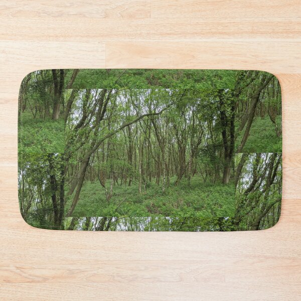 Item preview, British Countryside - Cannock Chase designed and sold by jeremydwilliams.
