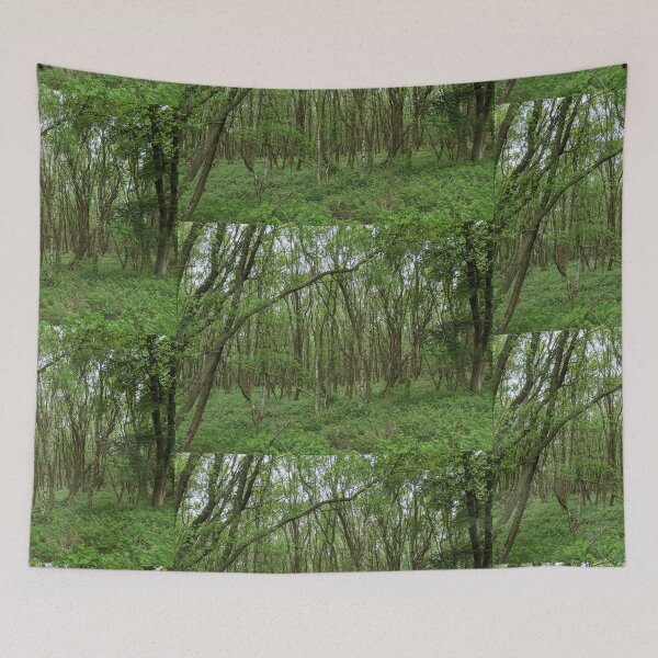 Item preview, British Countryside - Cannock Chase designed and sold by jeremydwilliams.
