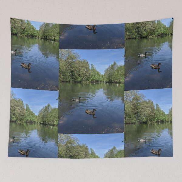 Item preview, British Countryside - Ducks at Brindley Heath designed and sold by jeremydwilliams.
