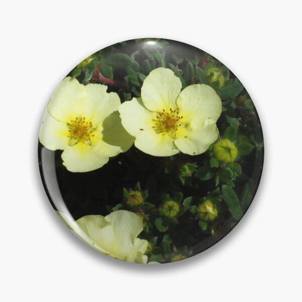 Item preview, Primrose Yellow Potentilla designed and sold by wiggyofipswich.
