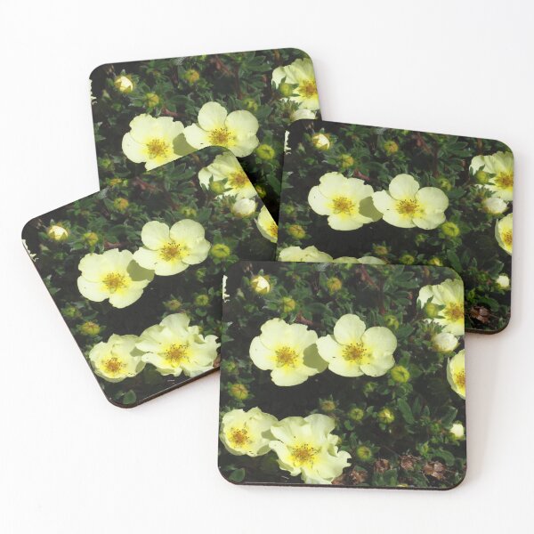 Item preview, Primrose Yellow Potentilla designed and sold by wiggyofipswich.