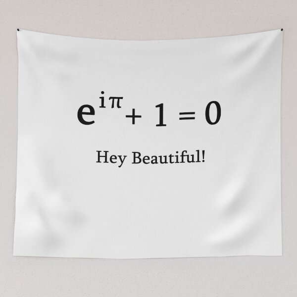 Item preview, Euler identity math mathematician nerd science pi designed and sold by LeMuesch.