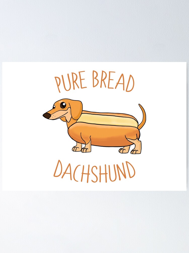 Add a Little Spice to Your Life with a Miniature Dachshund Puppy