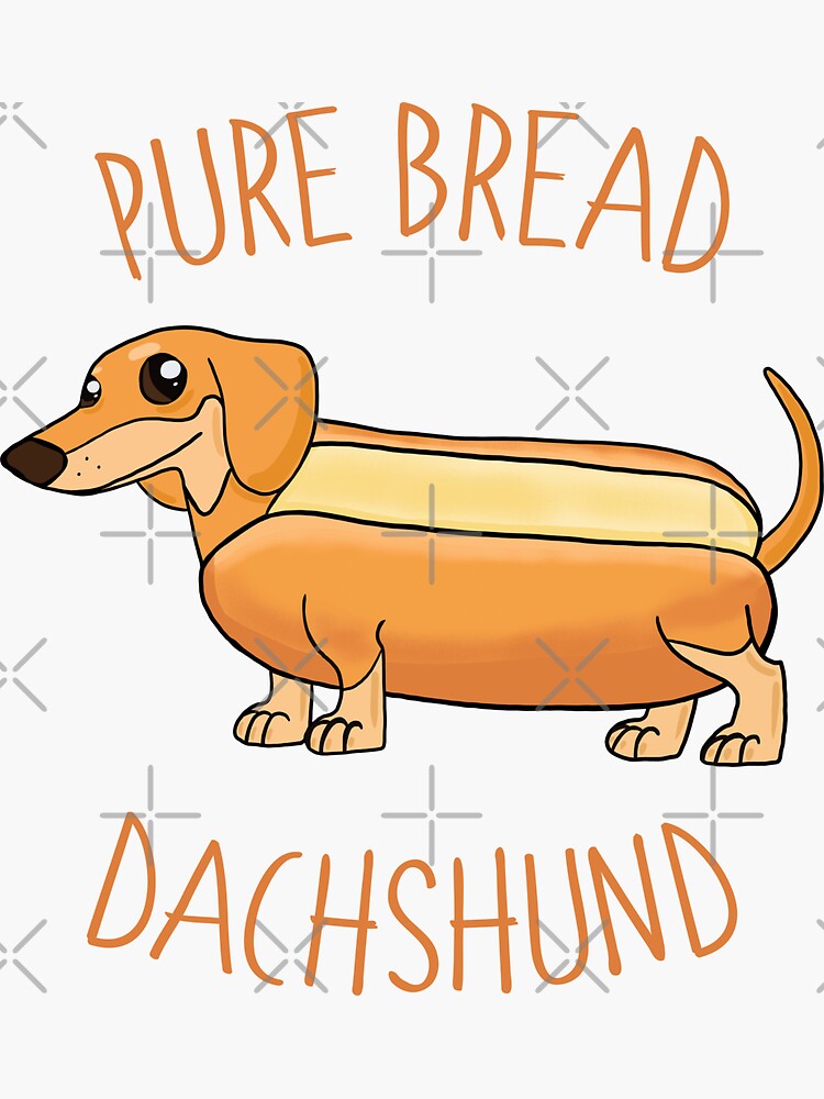 Bread Dog #boski #weezer #jawny #altmusic #hahahahahaha #bread