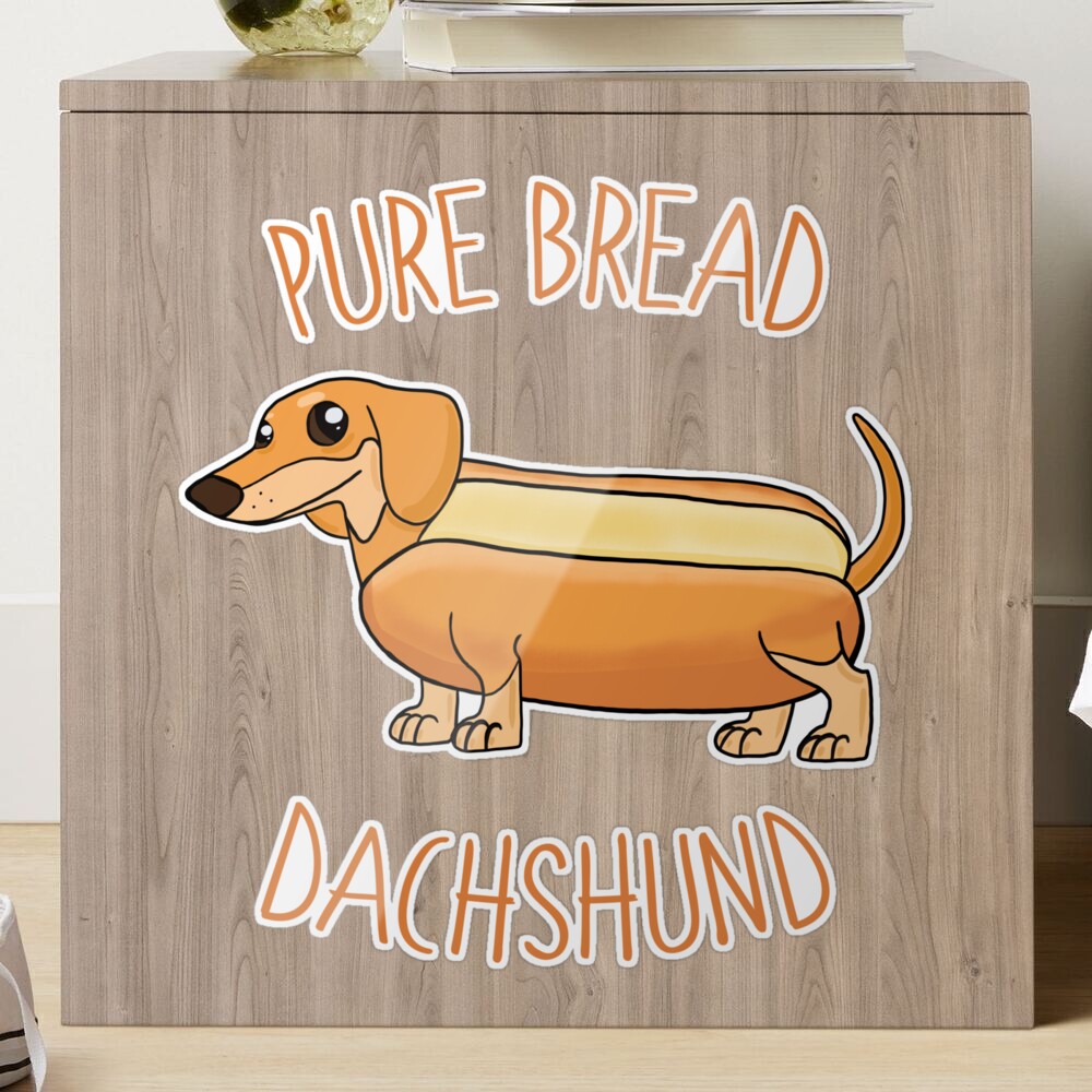 Bread Dog #boski #weezer #jawny #altmusic #hahahahahaha #bread