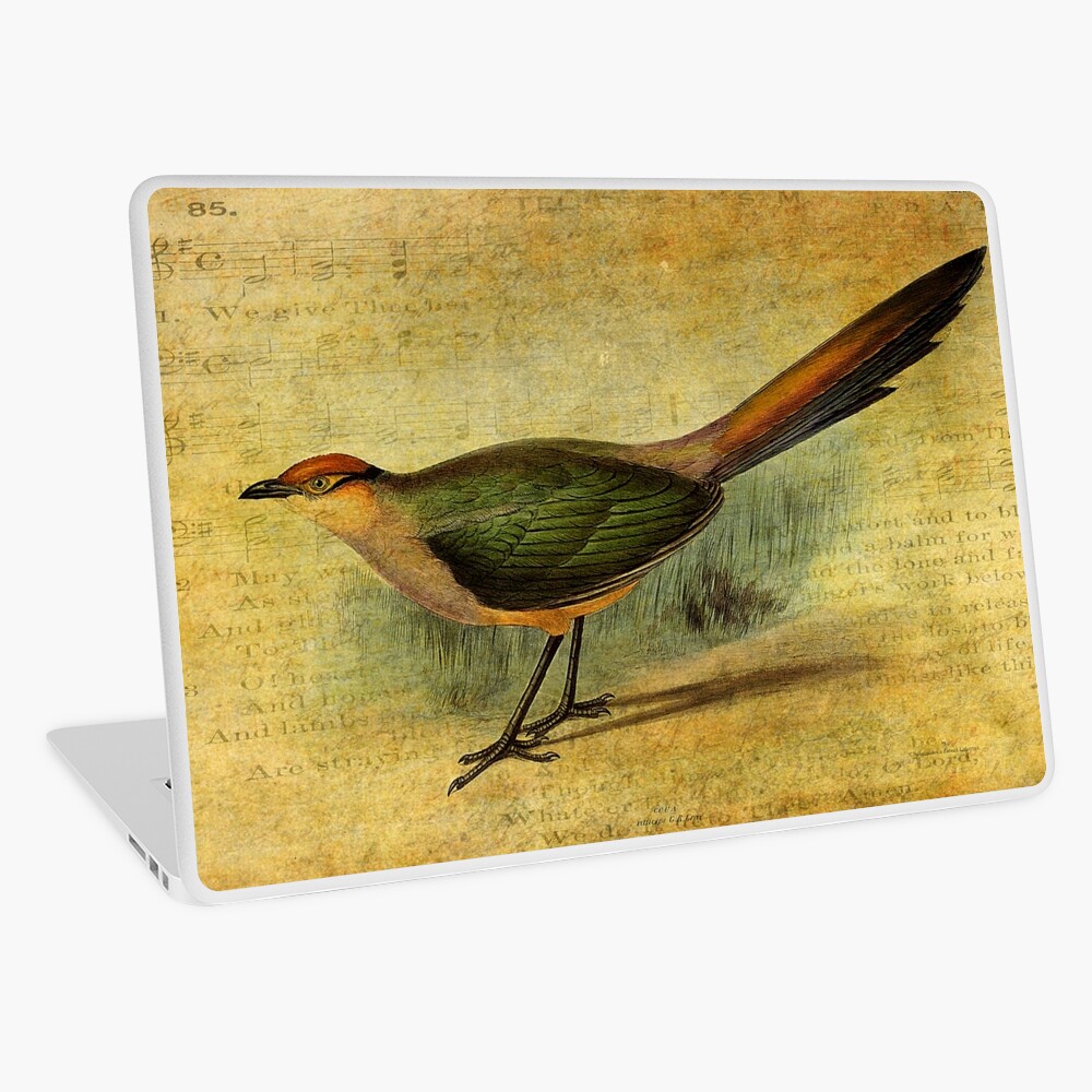 The Cuckoo’s Note Laptop Skin