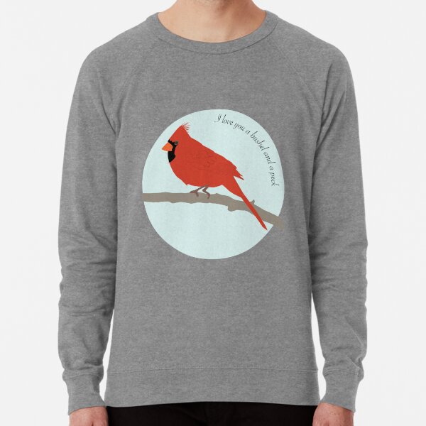 Hoodies Sweatshirt Autumn Winter Fox,Small Forest Creatures Birds,Sweatshirts for Women 