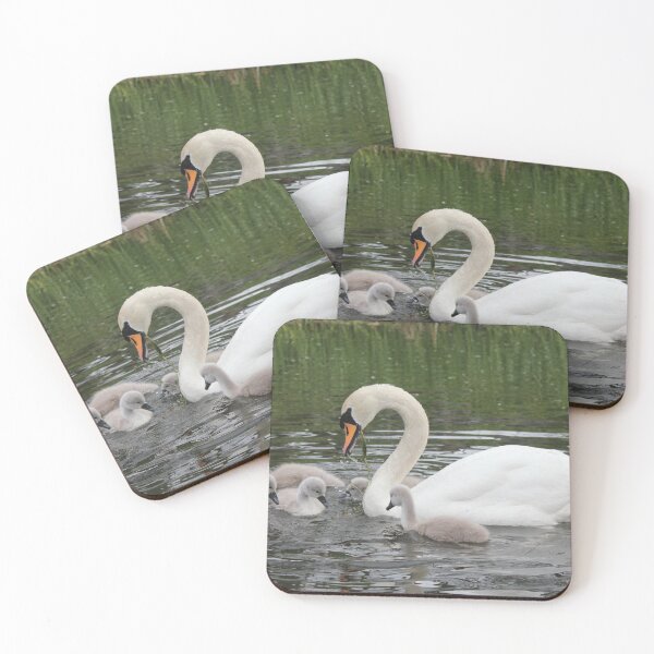 Item preview, Swanning around with Cygnets designed and sold by dredfell.