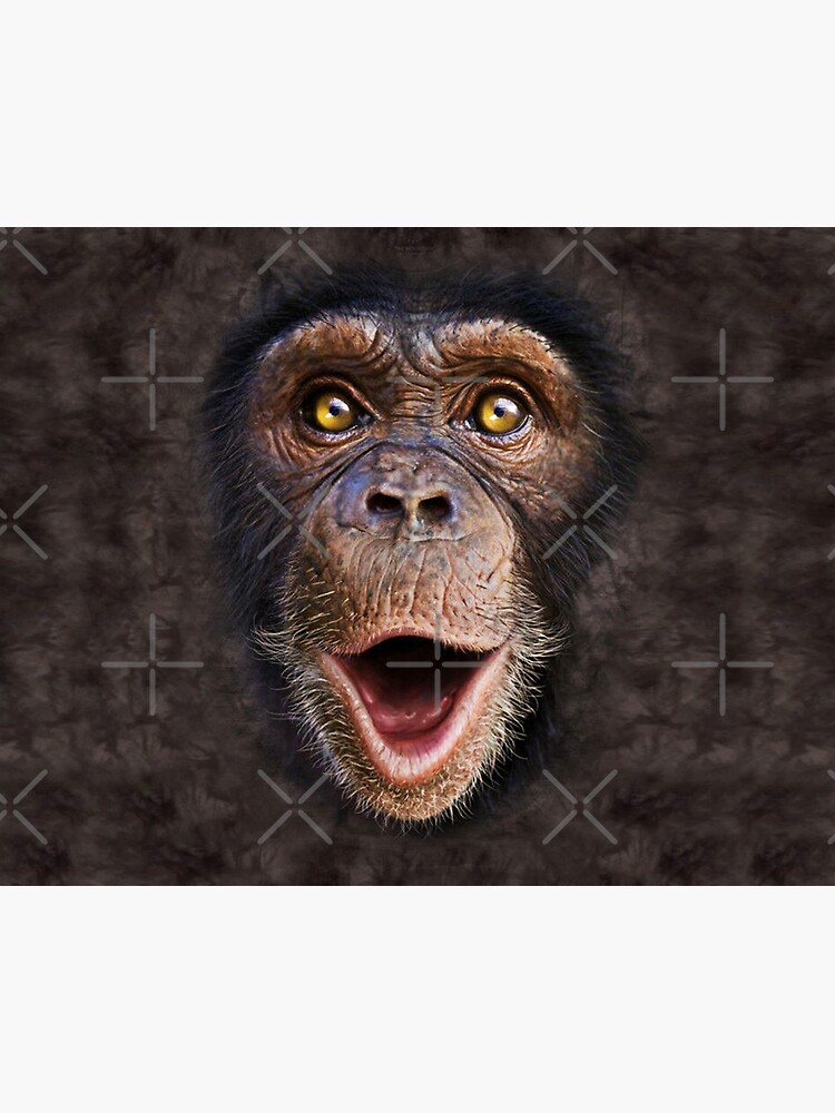 Cute Animal Happy Chimp Monkey Face Gift Art Board Print By Odola Redbubble