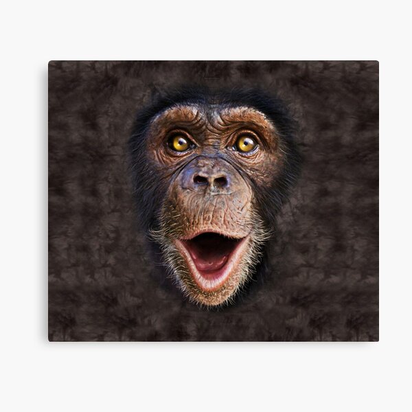Cheeky Chimp Monkey B&W Picture CANVAS WALL ART Square Print Cheeky Chimp Monkey B&W Picture CANVAS WALL ART Square Print