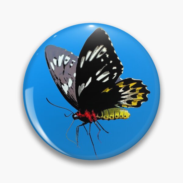 Item preview, Cairns Birdwing Color Print designed and sold by designsasstultd.