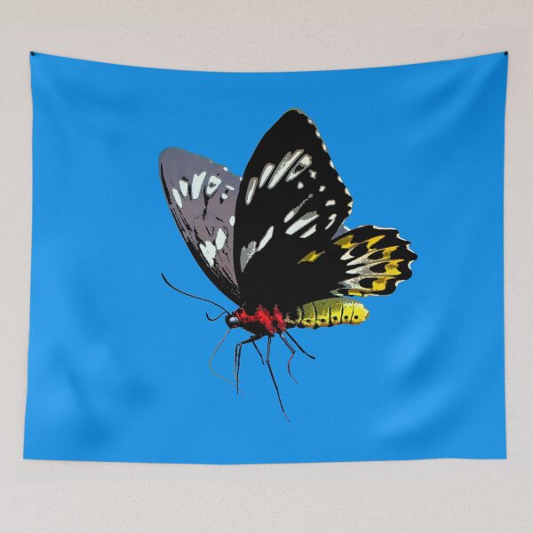 Item preview, Cairns Birdwing Color Print designed and sold by designsasstultd.