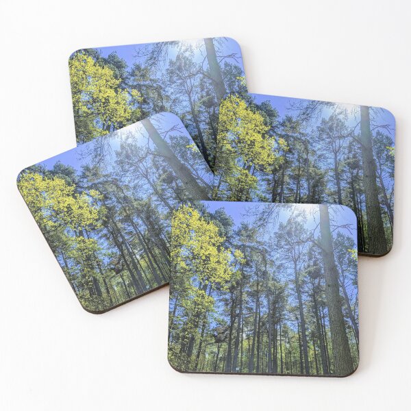 Item preview, British Countryside - Cannock Chase designed and sold by jeremydwilliams.
