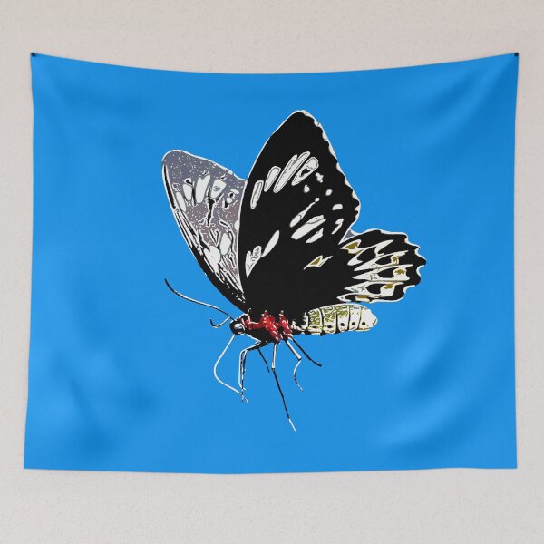 Item preview,  Cairns Birdwing Alternate Print designed and sold by designsasstultd.