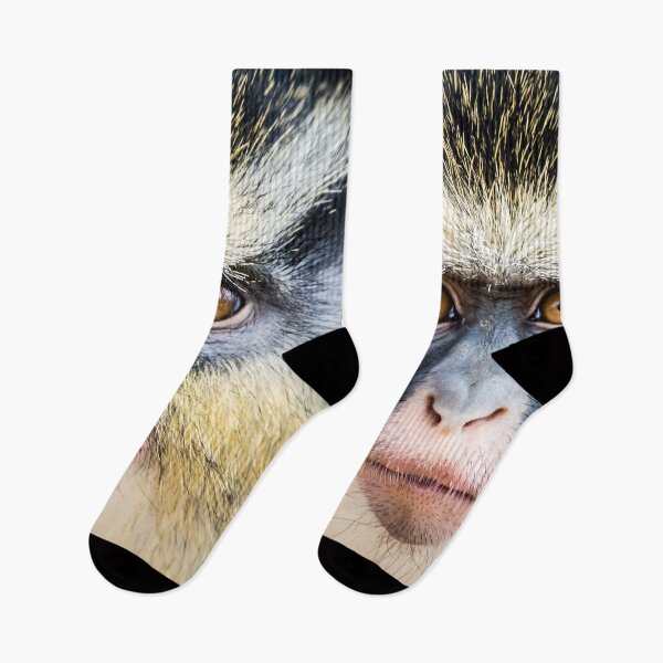 Item preview, Monkey,chimpanzee, animals, exotic animals, animal t-shirts, animal prints. designed and sold by Yanulik.
