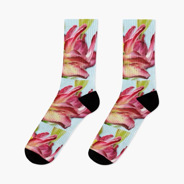 Item preview, Lilium  'Double Sensation'   Double Asiatic lily  designed and sold by Chris Burrows.
