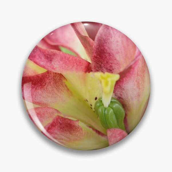 Item preview, Lilium  'Double Sensation'   Double Asiatic lily  designed and sold by Chris Burrows.