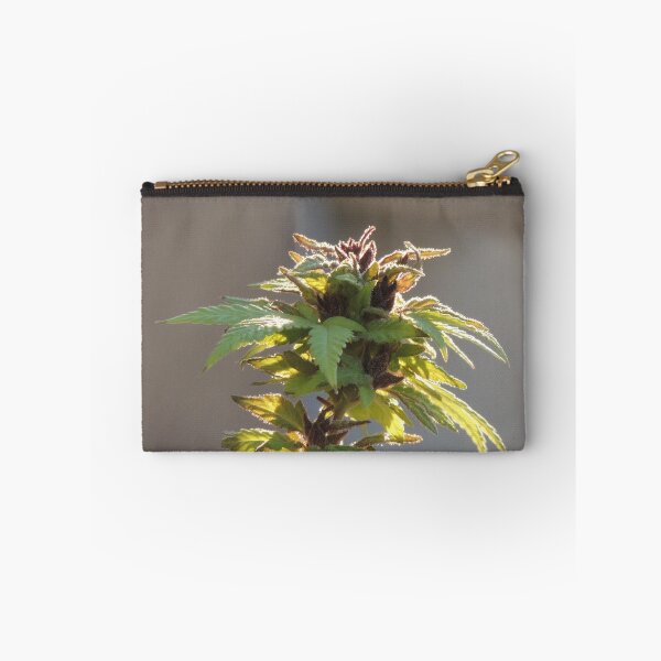Item preview, Female flower designed and sold by annAHorton.