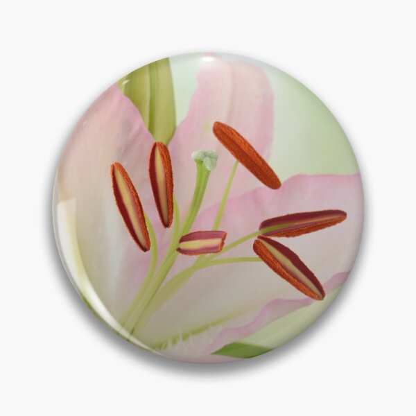 Item preview, Lilium  Lily designed and sold by Chris Burrows.