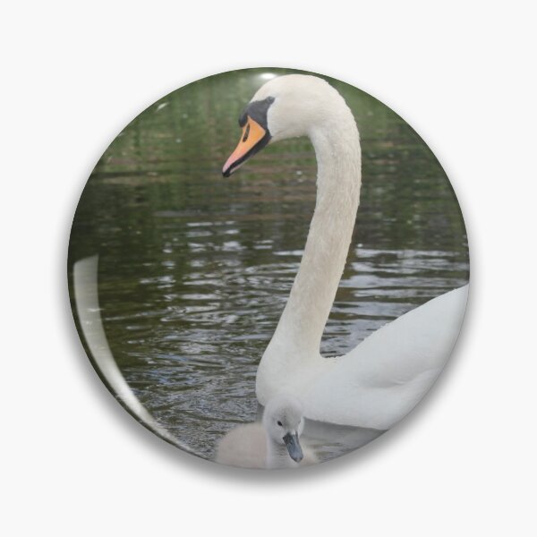 Item preview, More Swanning around with Cygnets designed and sold by dredfell.