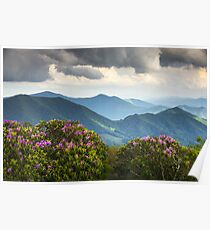 Blue Ridge Appalachian Mountain Peaks and Spring Rhododendron Flowers Poster