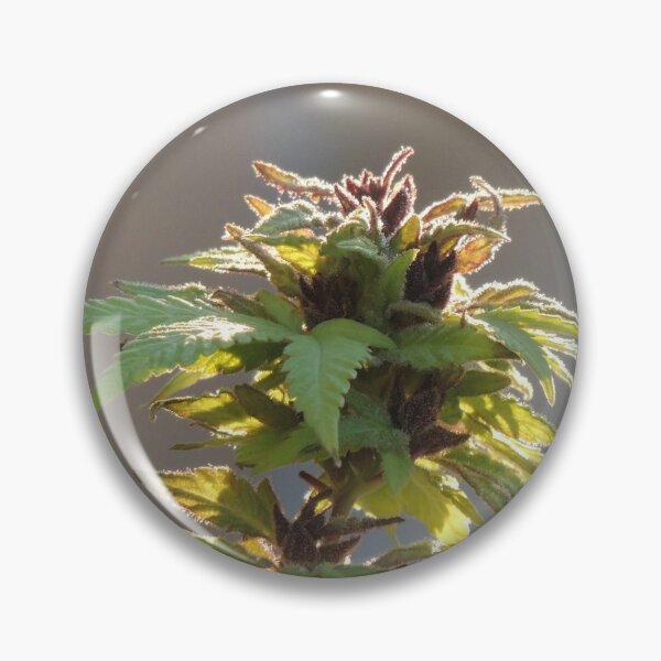 Item preview, Female flower designed and sold by annAHorton.