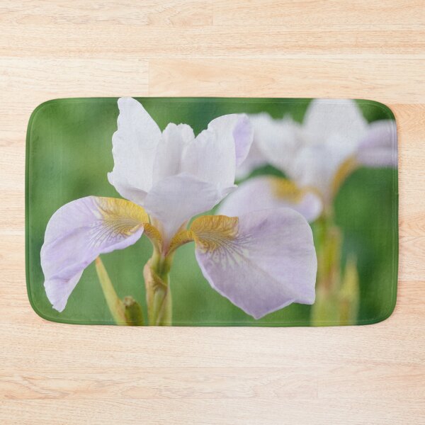 Item preview, Iris sibirica  Siberian iris designed and sold by Chris Burrows.
