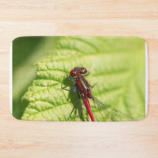 Item preview, Damselfly close up designed and sold by GreyFeatherPhot.