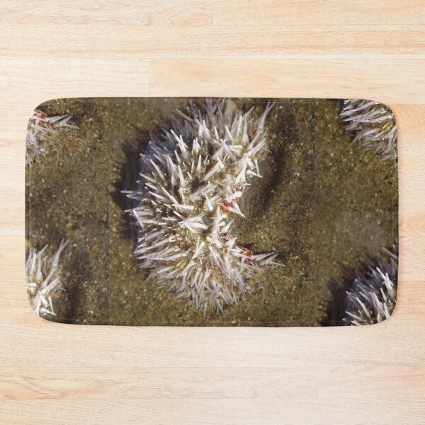 Item preview, Little Urchin designed and sold by MeyrellesMartin.