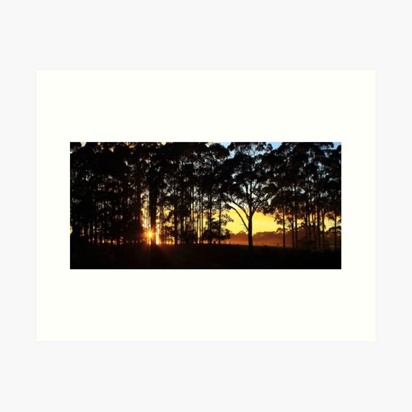 Item preview, Dawn at Mengha in nor west Tasmania , Australia designed and sold by phillip wise.