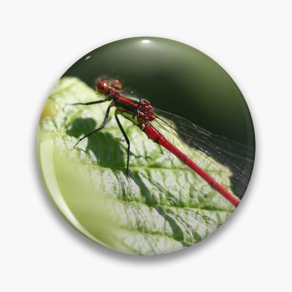 Item preview, Backlit damselfly designed and sold by GreyFeatherPhot.