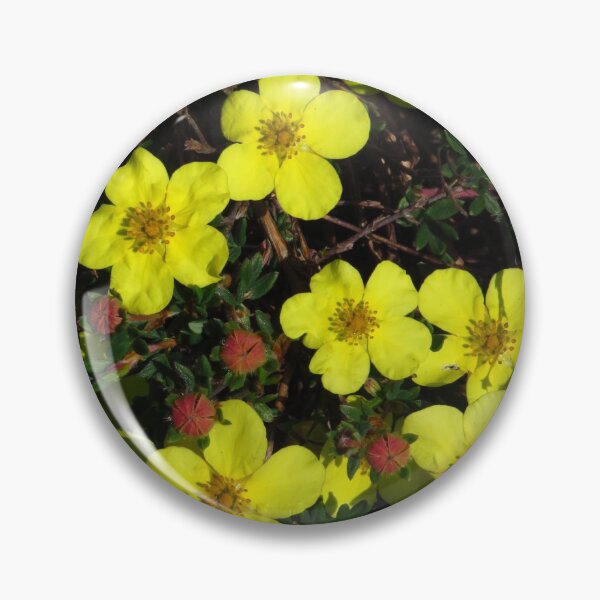 Item preview, Bright Yellow Potentilla designed and sold by wiggyofipswich.