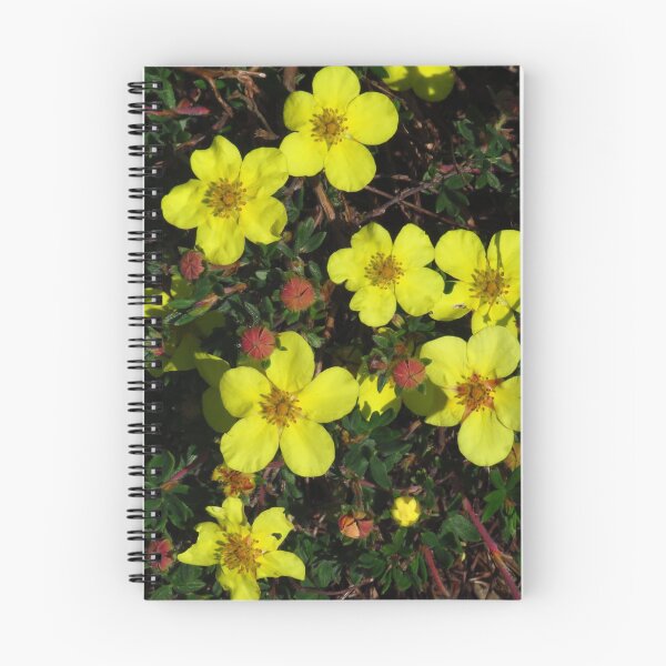 Item preview, Bright Yellow Potentilla designed and sold by wiggyofipswich.