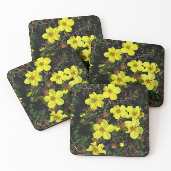 Item preview, Bright Yellow Potentilla designed and sold by wiggyofipswich.