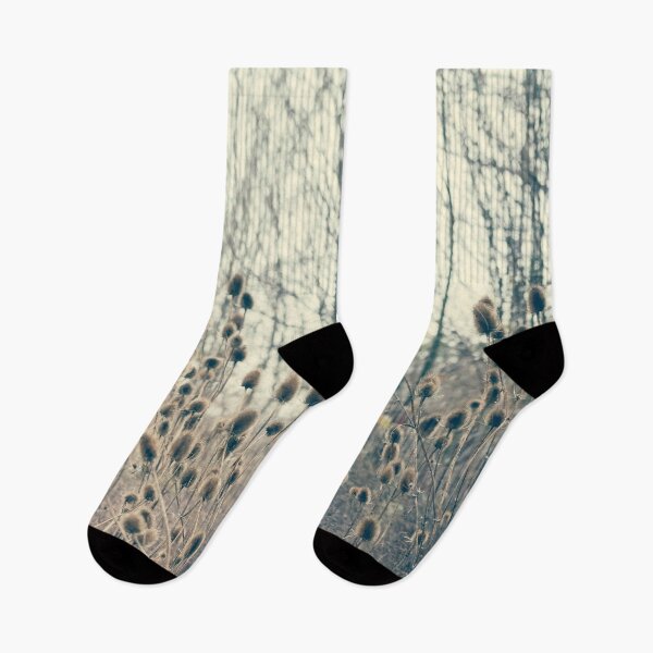 Item preview, Teasels in The Forest designed and sold by Richard Nixon.