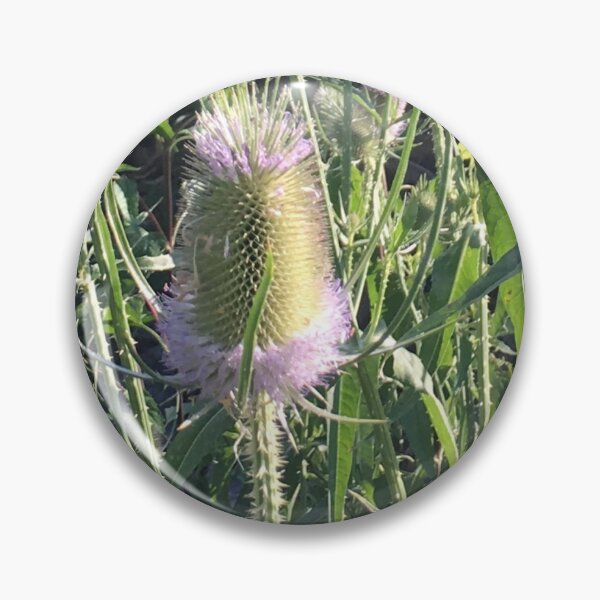 Item preview, Thistle Bloom designed and sold by Maria Chandler.