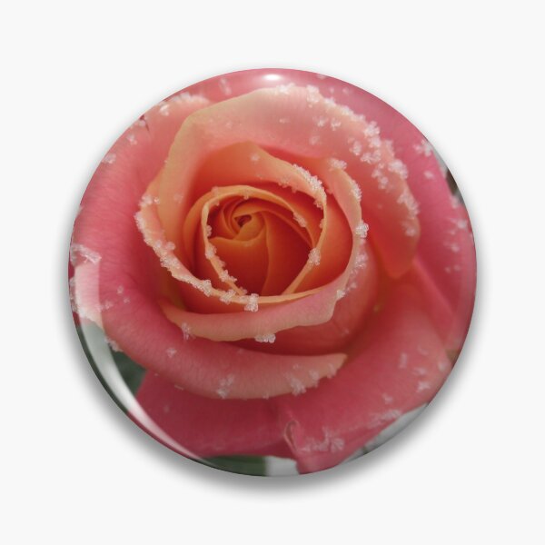 Item preview, Rose in the snow in winter designed and sold by rhnaturestyles.
