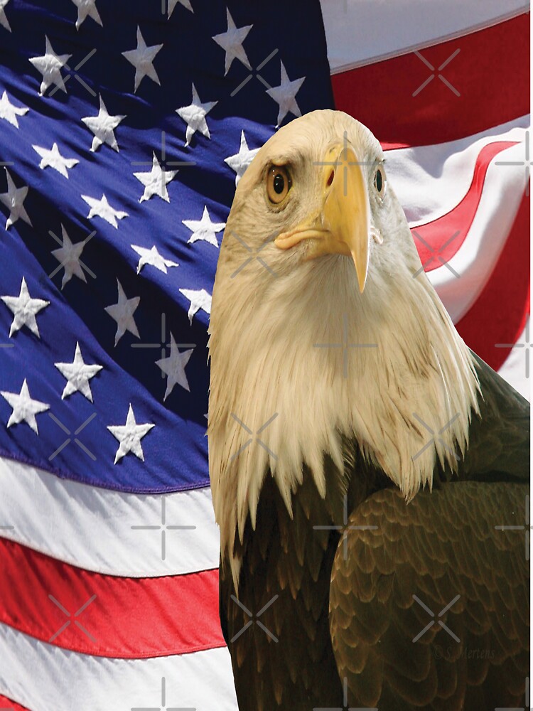 American Bald Eagle and Flag, RBSSG by sandyspider