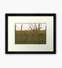 Prairie. Framed Print