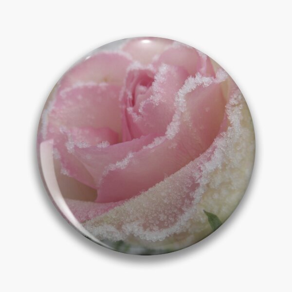 Item preview, frozen pink rose designed and sold by rhnaturestyles.