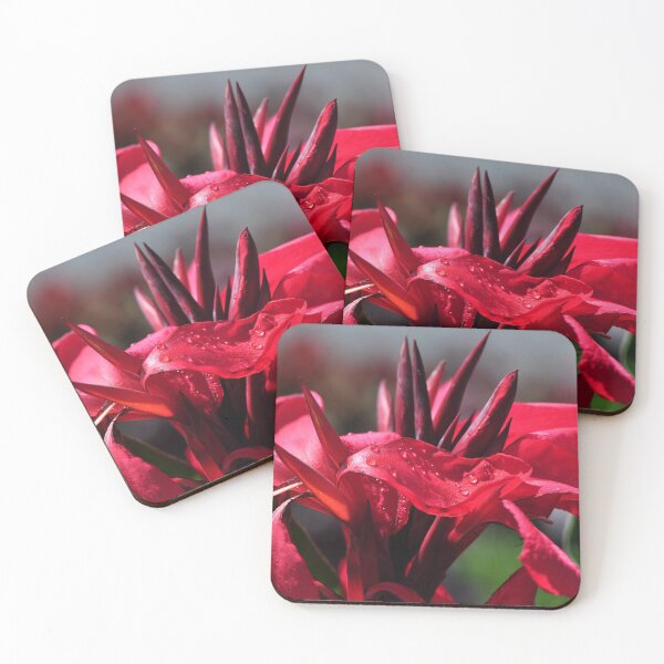 Item preview, Canna Lily designed and sold by Poete100.