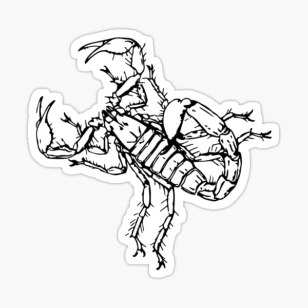 The Scorpion Sticker