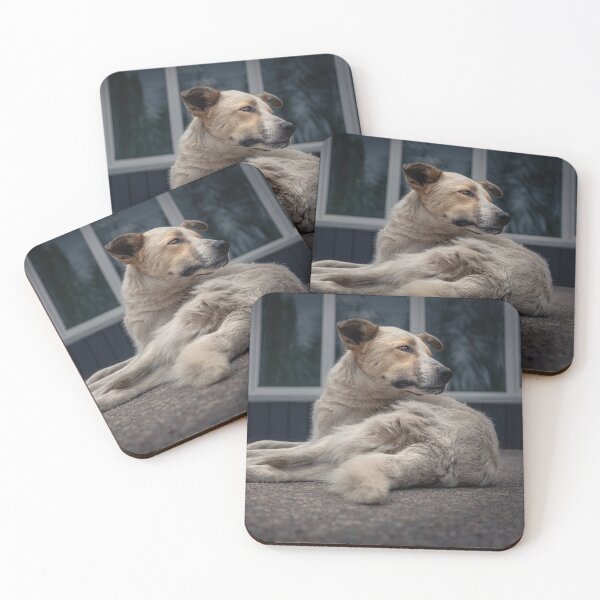 Item preview, ON THE SCROUNGE designed and sold by Andrew Hocking.