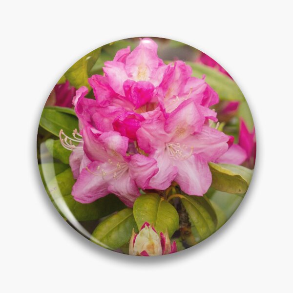 Item preview, Pink Flower Bush designed and sold by ellenmpics.