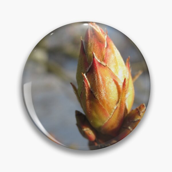 Item preview, the first bud of spring in the garden at the tree, nature designed and sold by rhnaturestyles.
