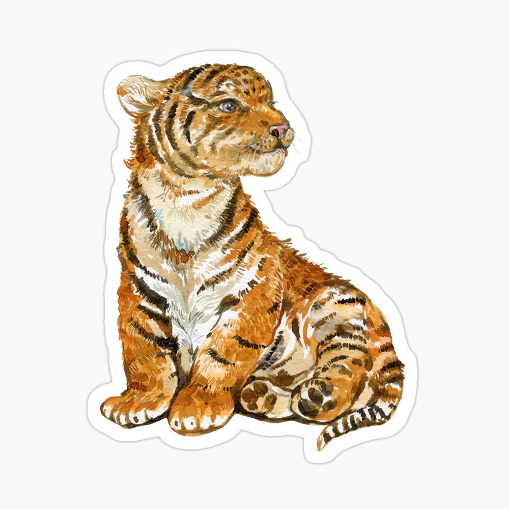 Tiger Mom Tiger Cub Drawing Colored Graphic by Topstar · Creative Fabrica