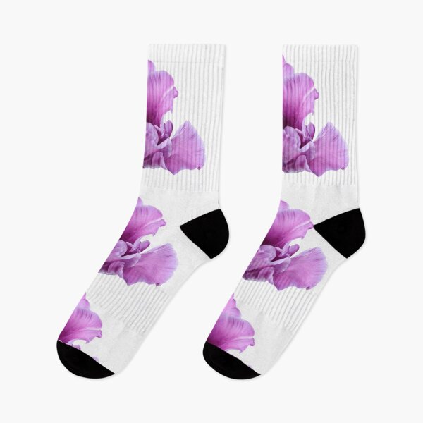 Item preview, Tulipa  'Blue Parrot'  Parrot Group Tulip   designed and sold by Chris Burrows.