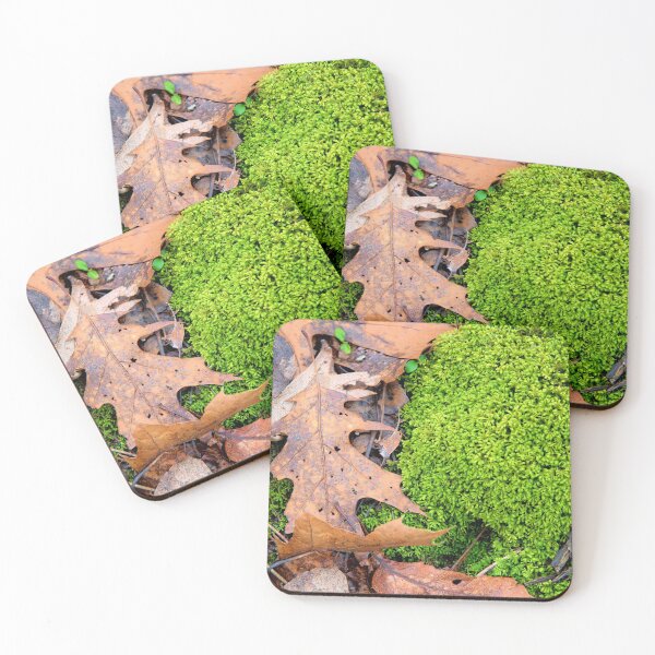 Item preview, Leaf Litter Growth designed and sold by LynyrdSky.